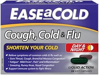 Ease a Cold Cough Cold and Flu Day-Night 24 Capsules
